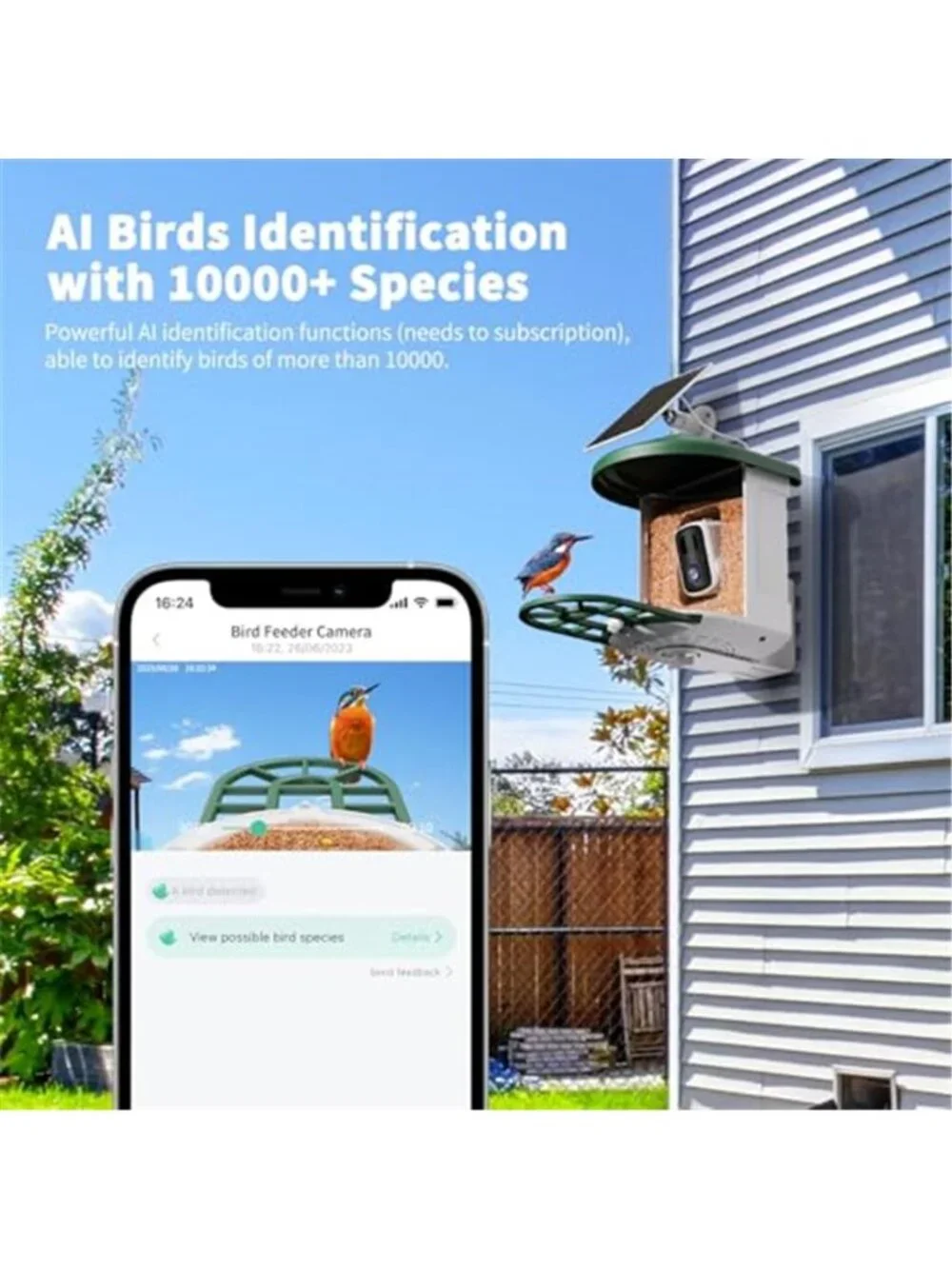 New Bird Feeder with Camera with AI Identify Birds Species Solar Powered